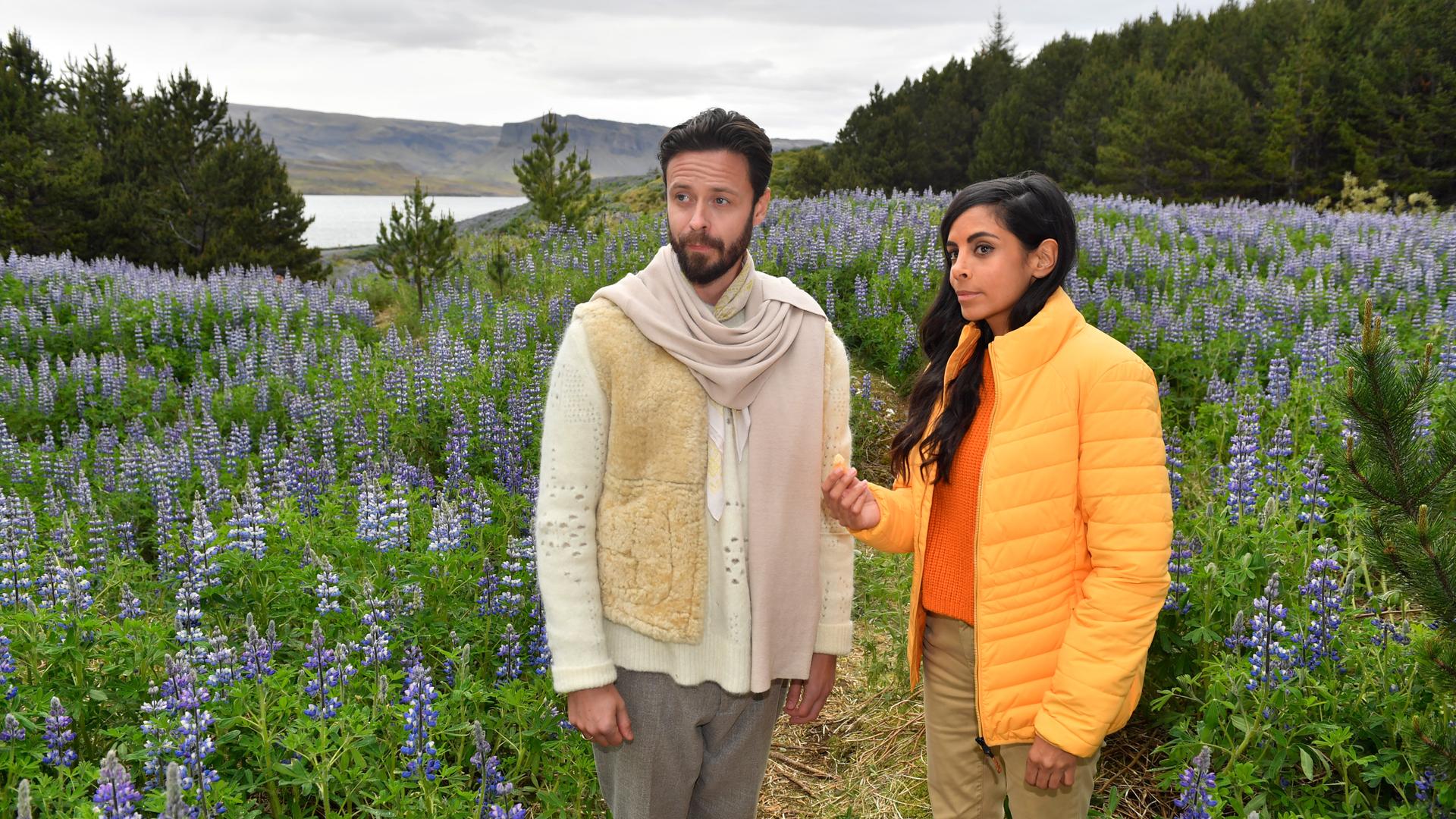 "Das Traumschiff: Island": Auf einem mit Lupinen bewachsenen Hügel: Dr. Jessica Delgado (Collien Fernandes) steht neben Jon (Pétur Óskar). Sie blicken erwartungsvoll seitlich nach vorne. Im Hintergrund befindet sich ein Tannenwald, hinter diesem liegt das Meer.