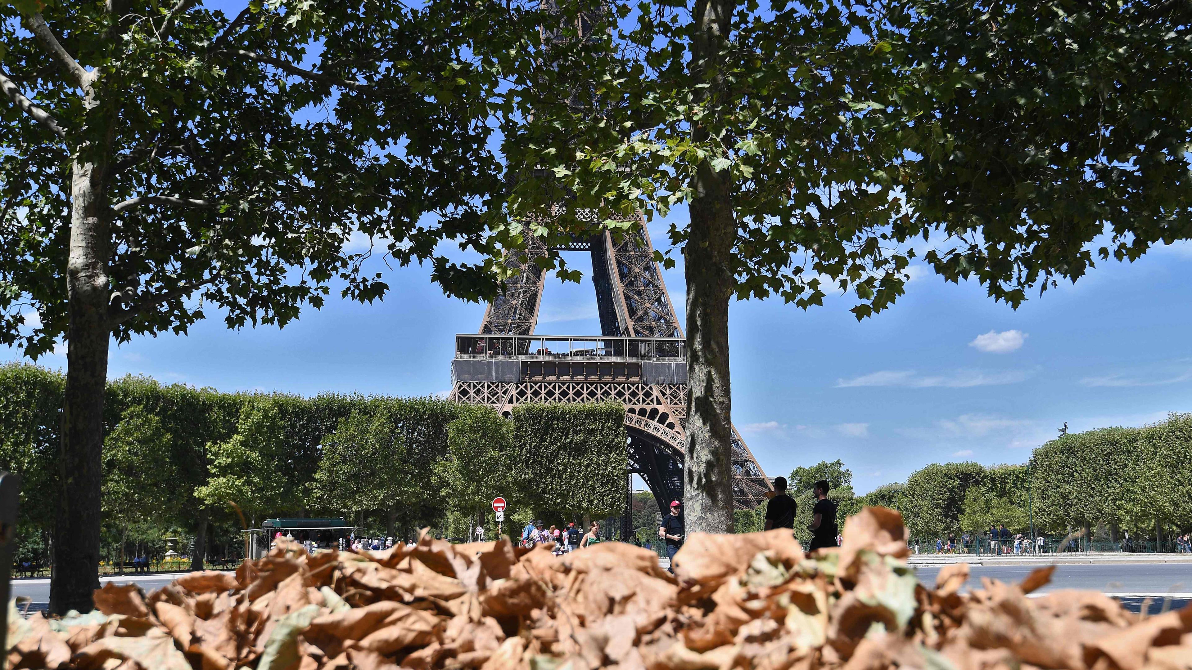 Das Foto zeigt trockene Baumblätter auf dem Champ de Mars vor dem Eiffelturm in Paris, aufgenommen am 03.08.2022