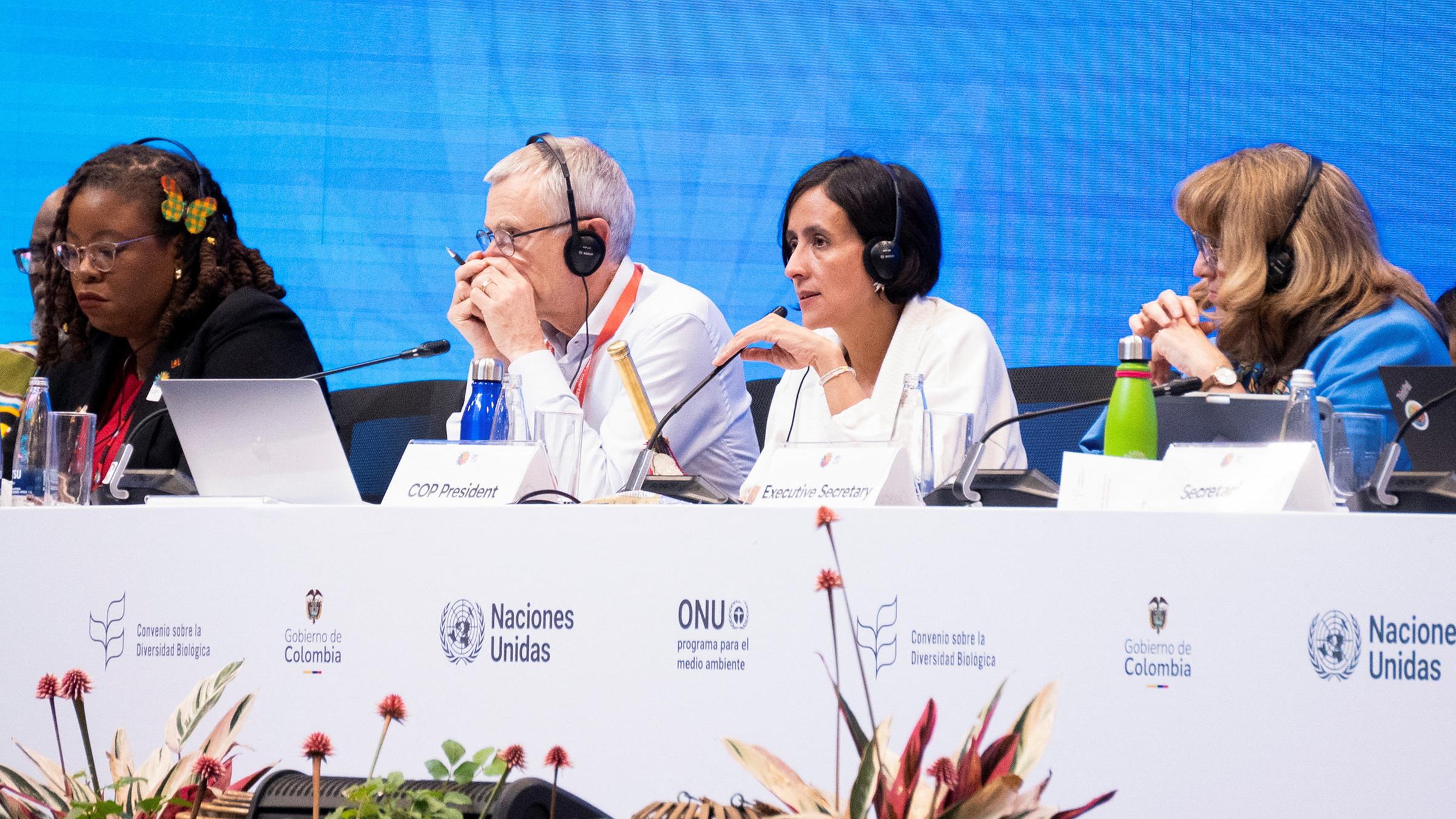 Abschlusssitzung der COP16 in Cali, Kolumbien