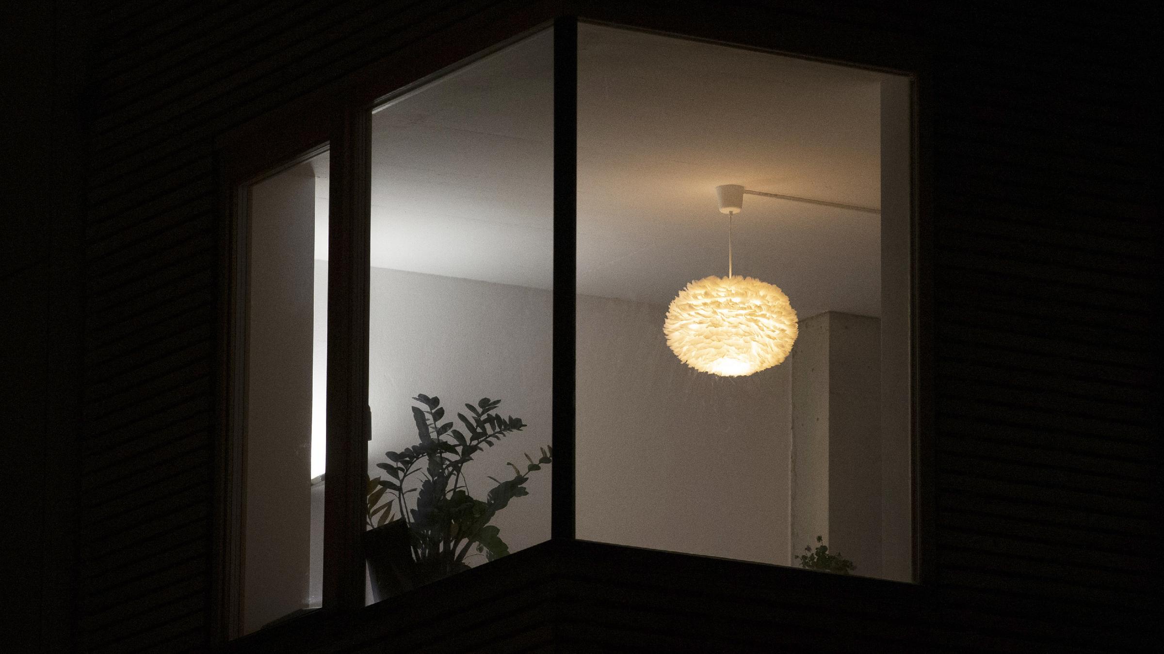 Logo Stechmucken Im Anflug Zdftivi