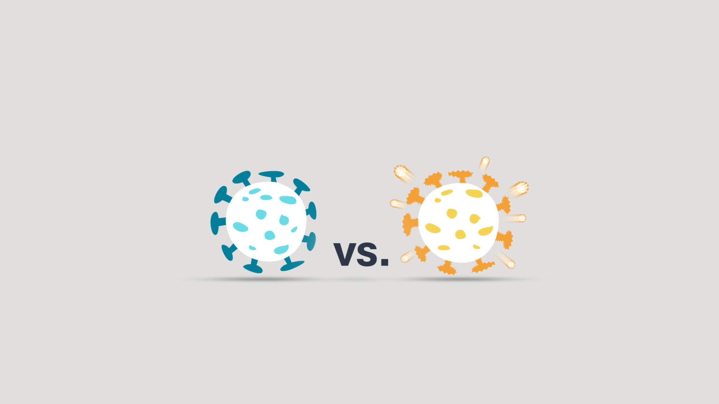 Zwei Corona-Viren. Eine ist weniger infektiös, aber tödlicher, die andere ist milder, aber infektiöser.