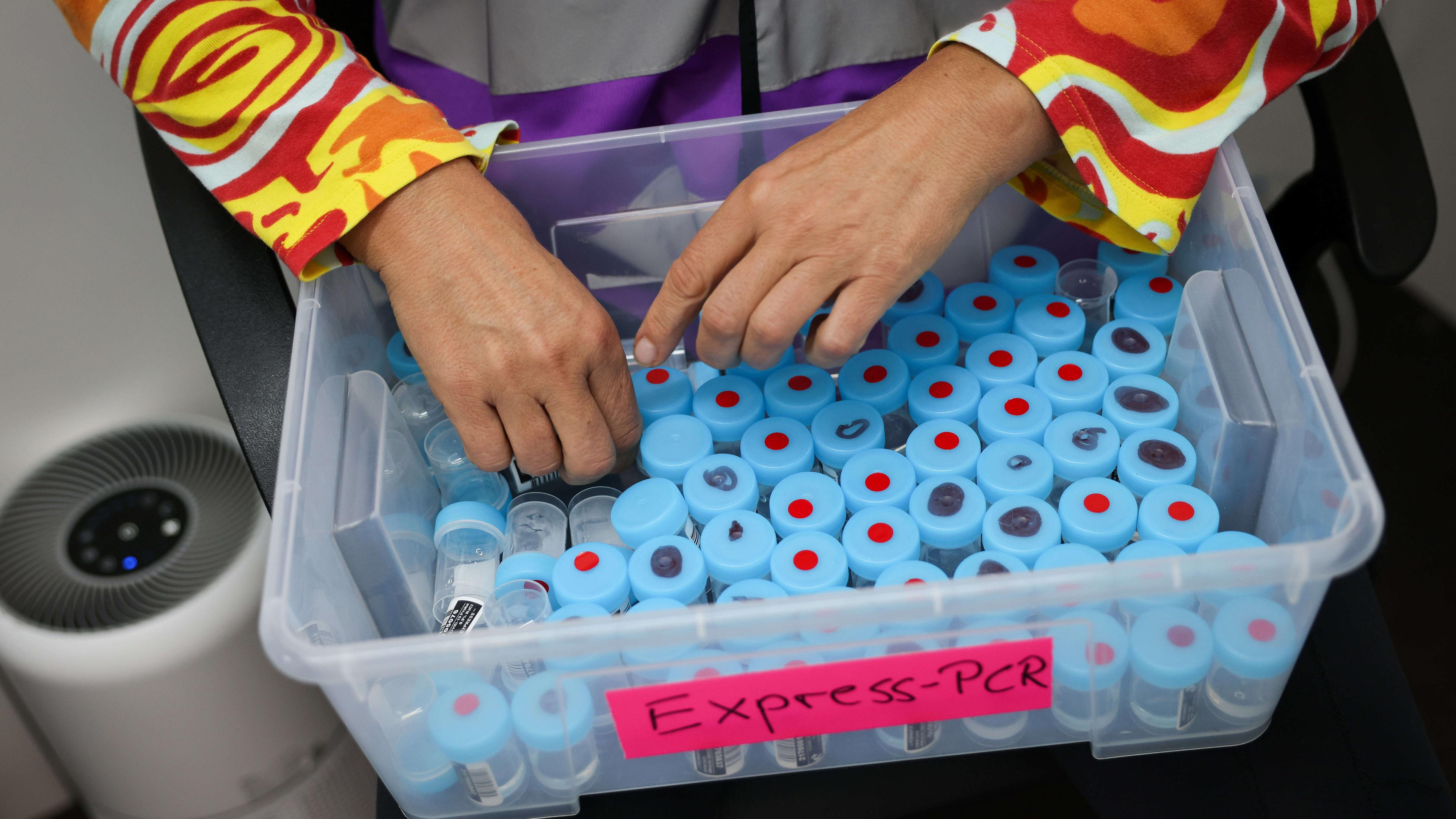 Eine Mitarbeiterin sortiert Behälter für einen Corona-PCR-Test in einer Plastikkiste mit der Aufschrift "Express-PCR".