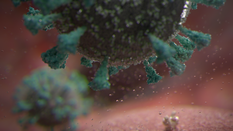 Darstellung des SARS-Coronavirus-2 in der menschlichen Zelle