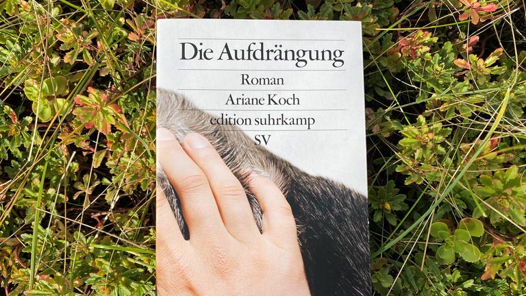 Buchcover