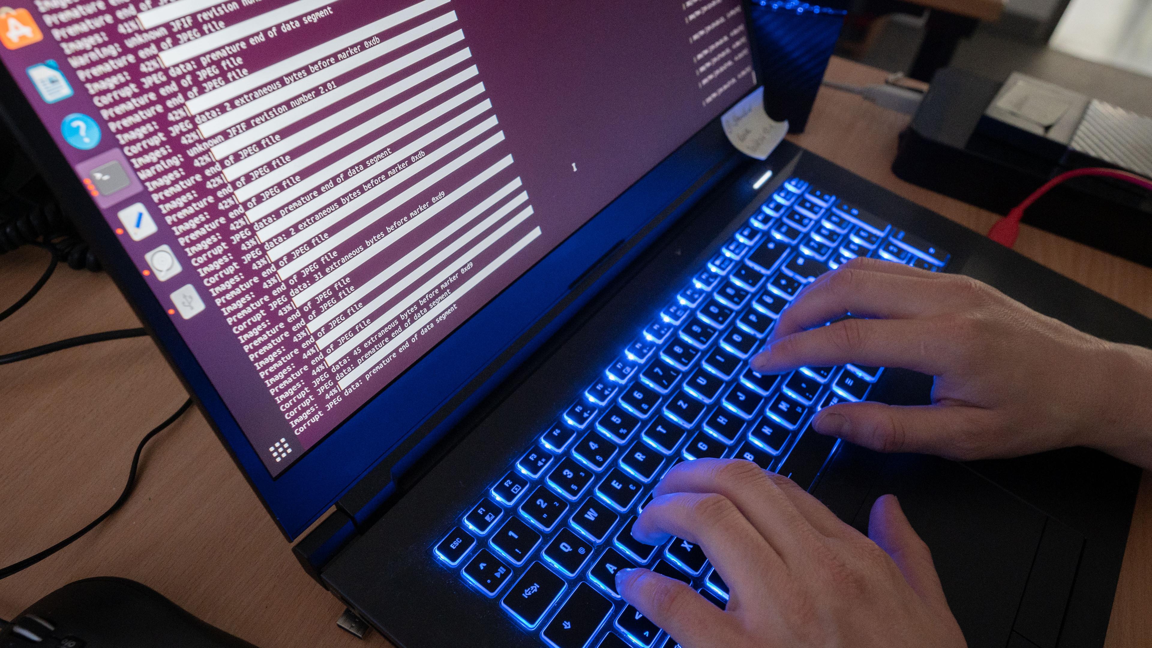 Niedersachsen, Hannover: Eine Wissenschaftlerin des Landeskriminalamtes arbeitet an Computerbildschirmen.