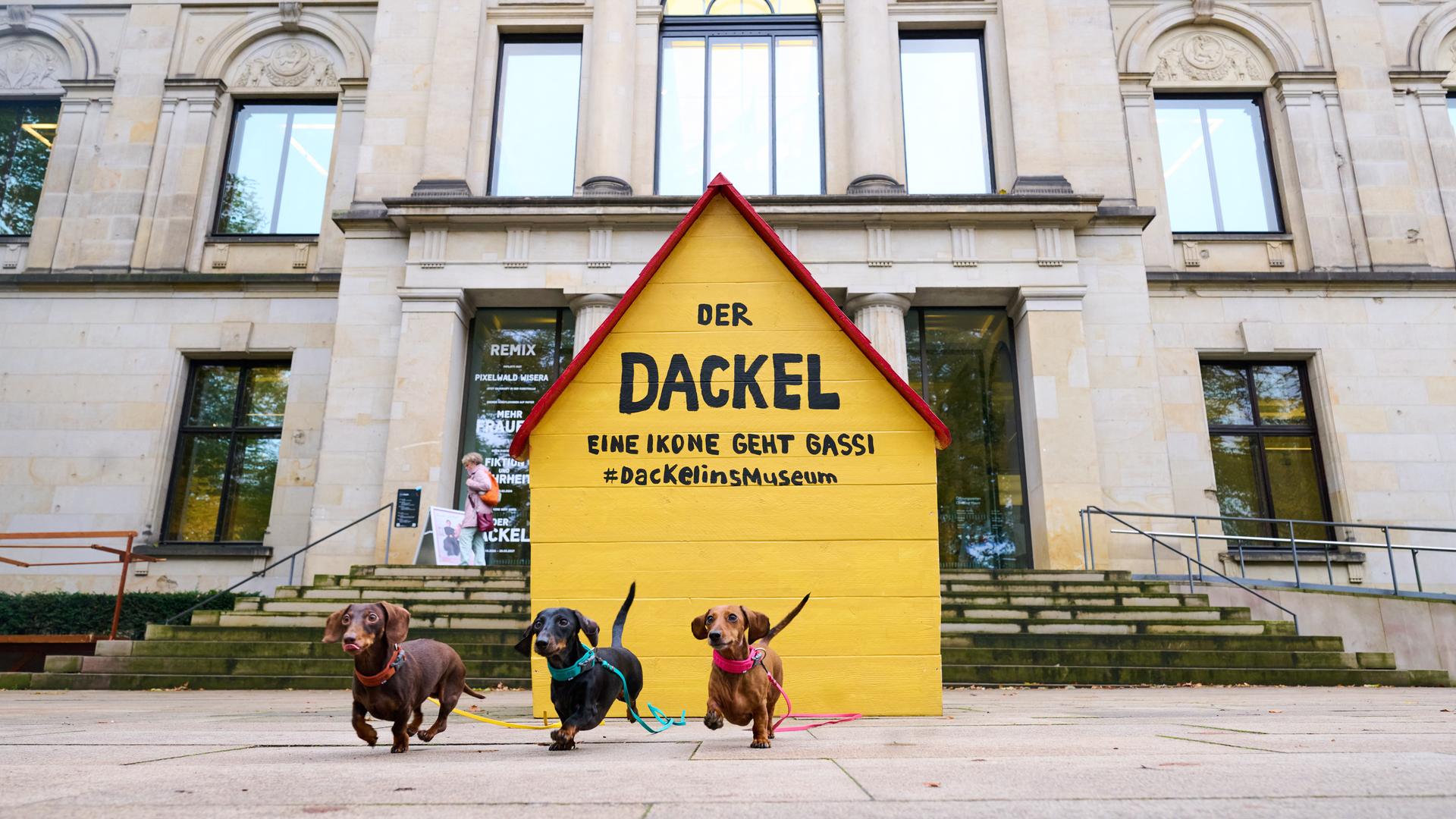 Die Kunsthalle Bremen widmet dem Dackel bis 28.03.2027 eine Sonderausstellung. Auch Termine für Vierbeiner werden angeboten.