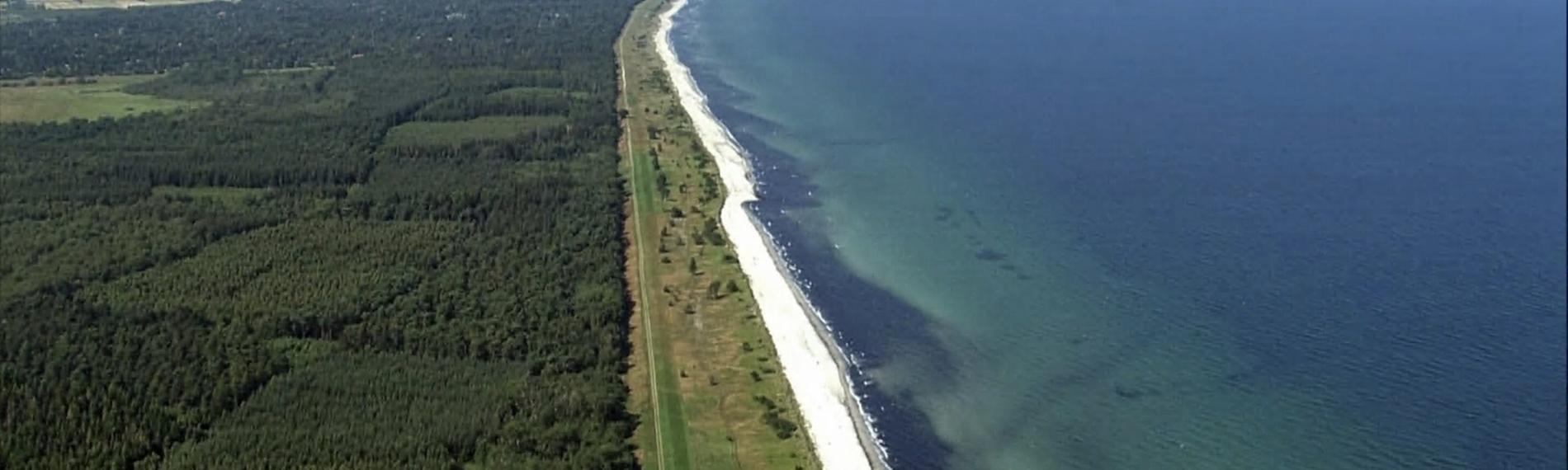Ein langer Sandstrand und bewaldete Küste in Dänemark.