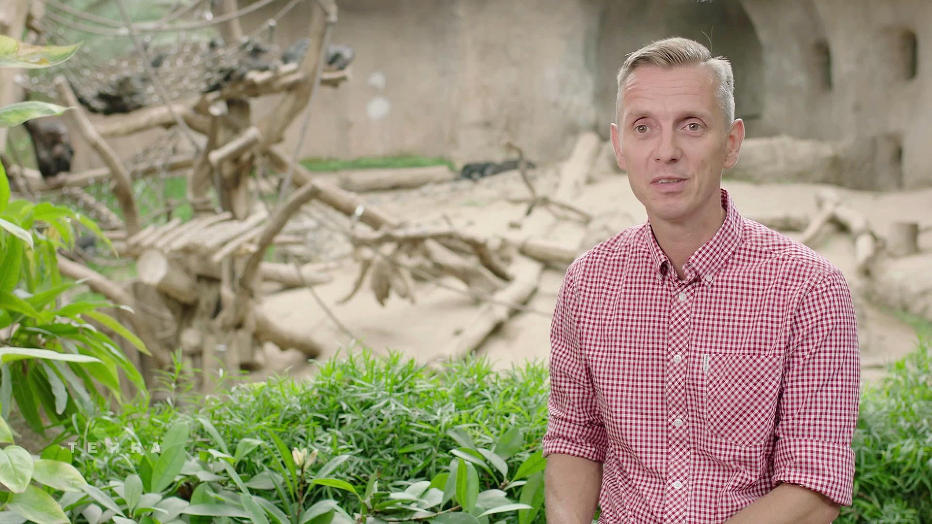 Psychologe Daniel Hanus