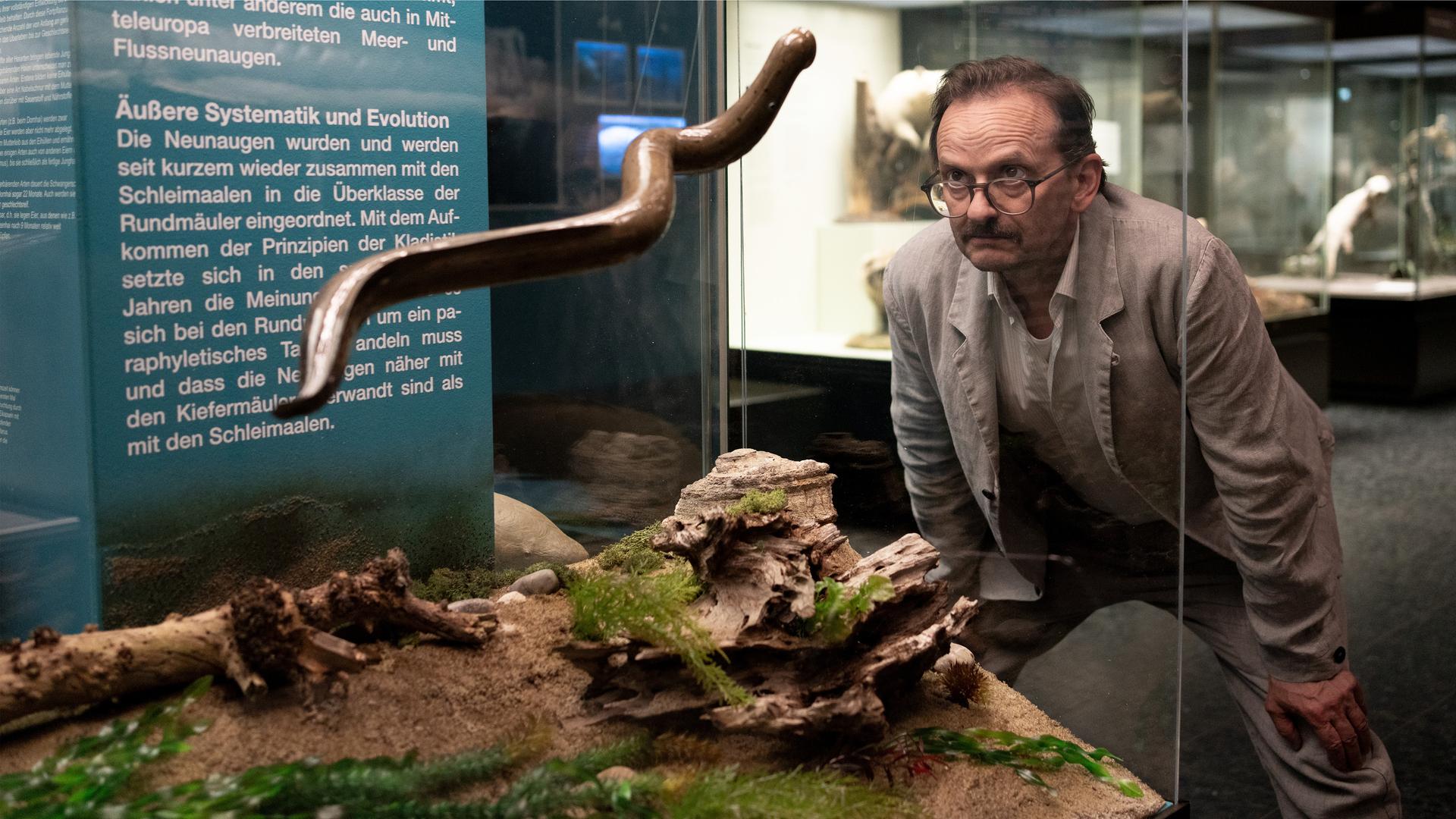 "Danowski - Neunauge": Adam Danowski (Milan Peschel) steht im Museum vor einer Vitrine mit einem ausgestellten Wurm.