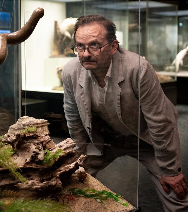 "Danowski - Neunauge": Adam Danowski (Milan Peschel) steht im Museum vor einer Vitrine mit einem ausgestellten Wurm.