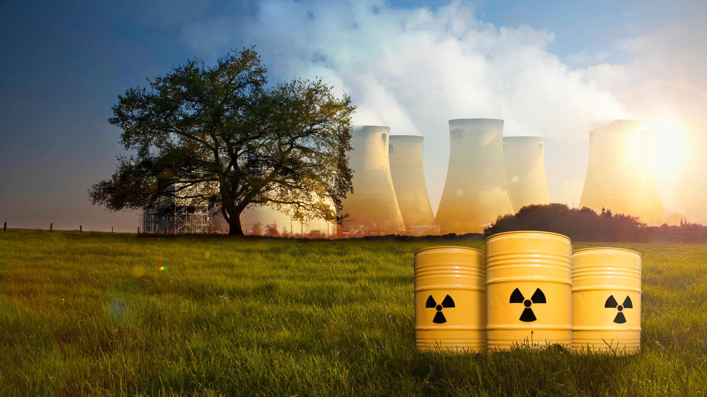Montage: Auf einer Wiese stehen im Vordergrund drei Atommülltonnen, im Hintergrund steht links ein Baum und rechts mehrere qualmende Atommeiler.