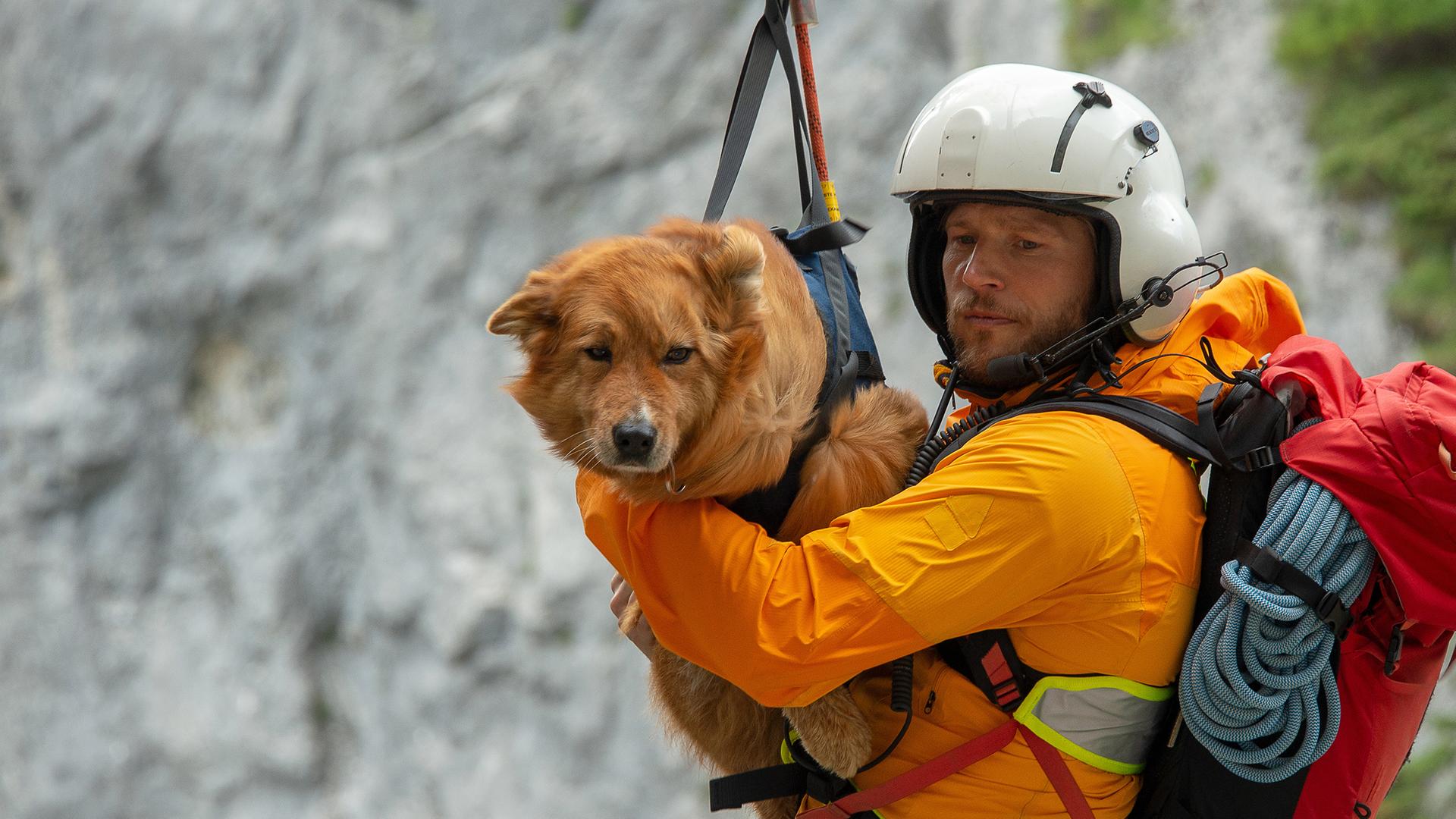 Markus hängt an einem Rettungsseil vor einer Felswand und hält einen gesicherten Hund im Arm.
