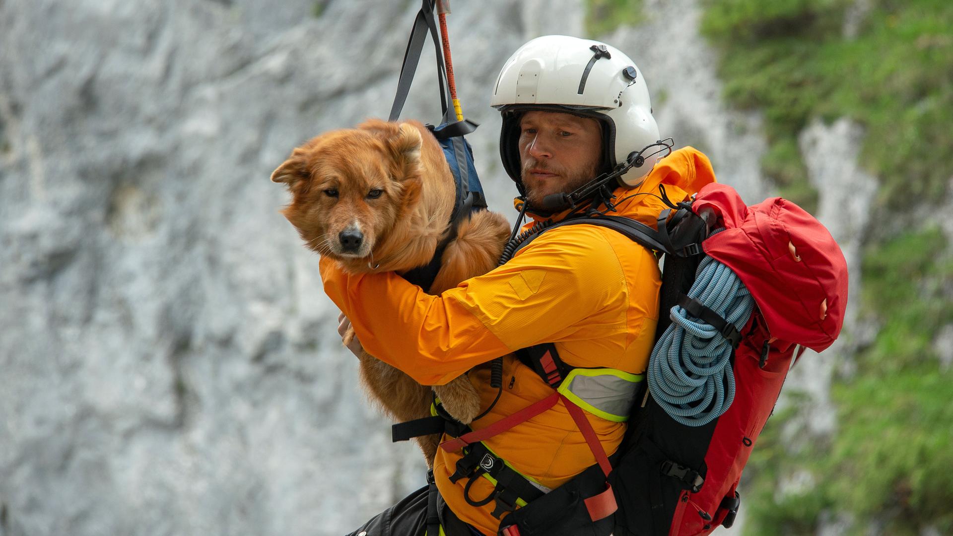 "Die Bergretter: Das Glück ist ein Schmetterling": Markus (Sebastian Ströbel) hängt an einem Rettungsseil vor einer Felswand und hält einen gesicherten Hund im Arm.