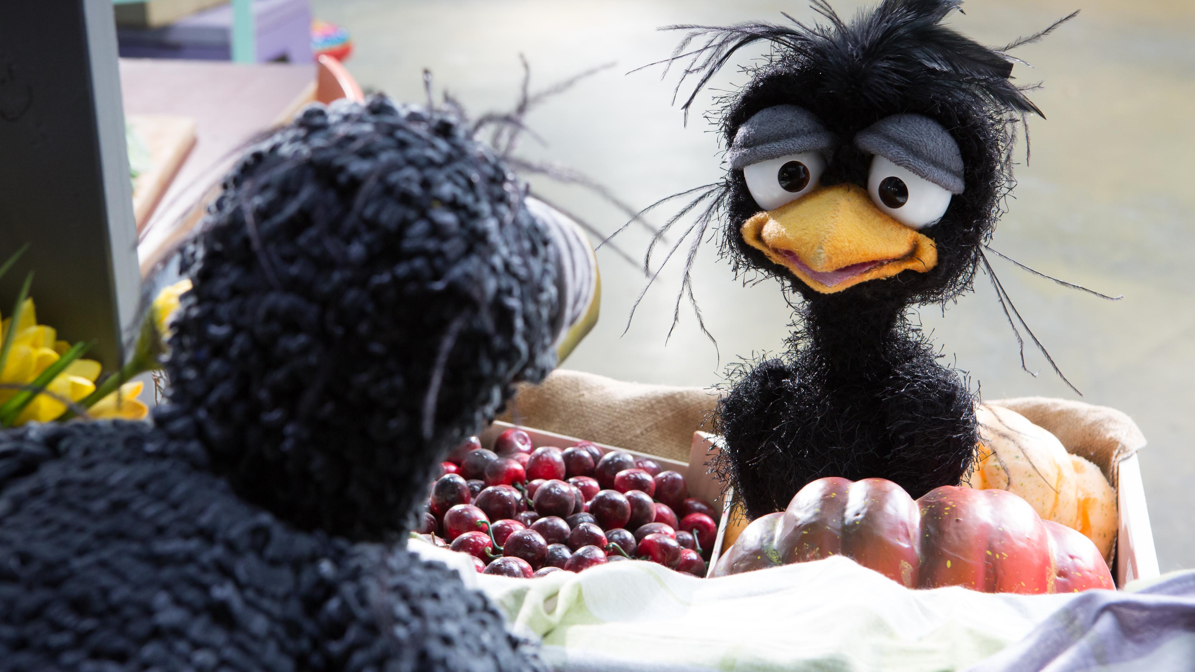 Rudi und das Rabenbaby schauen sich an.