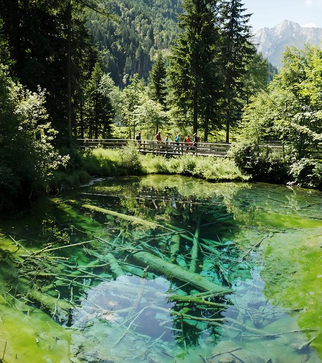 Nadelbäume umrahmen einen sehr klaren türkis schillernden See, über den Wanderer auf einer Holzbrücke laufen