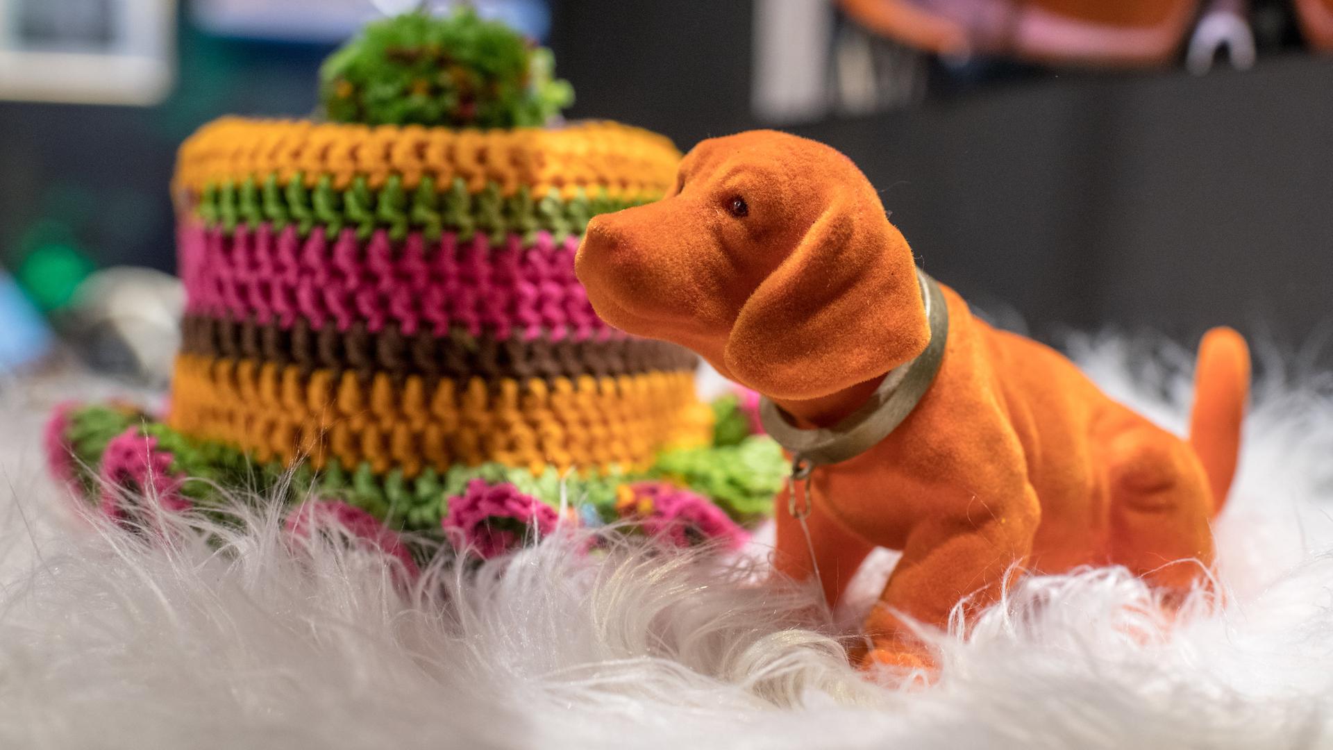 Wacheldackel und Klorollenschutz.