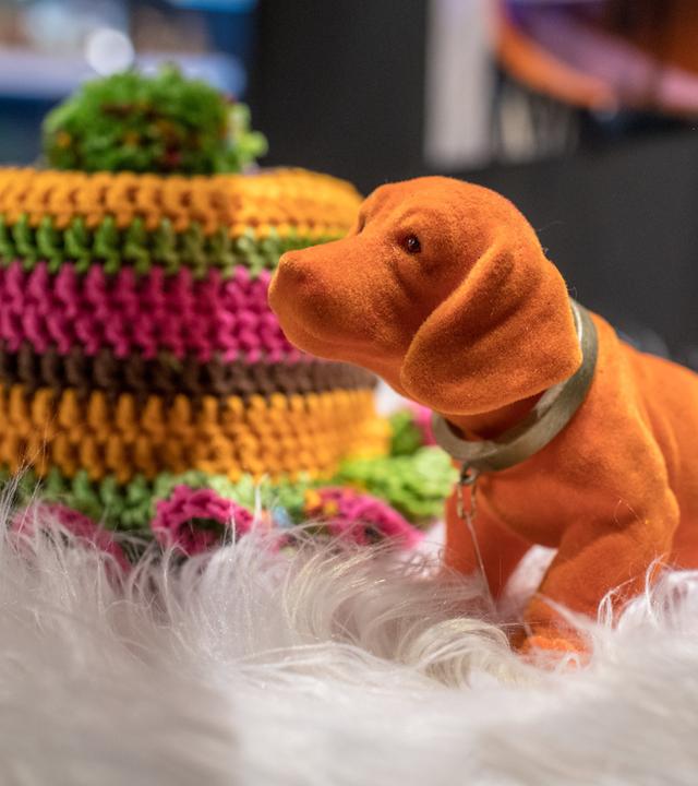 Wacheldackel und Klorollenschutz.