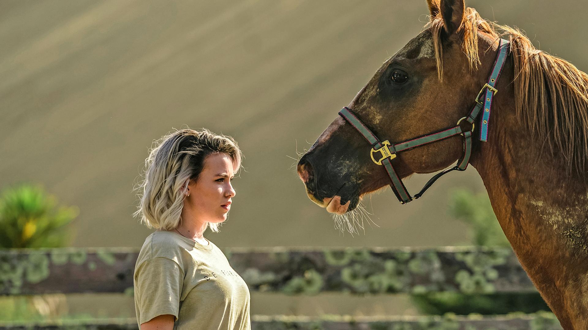 Issie nähert sich vorsichtig dem großen braunen Wildpferd Blaze.
