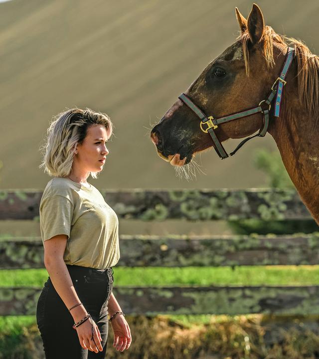 Issie nähert sich vorsichtig dem großen braunen Wildpferd Blaze.