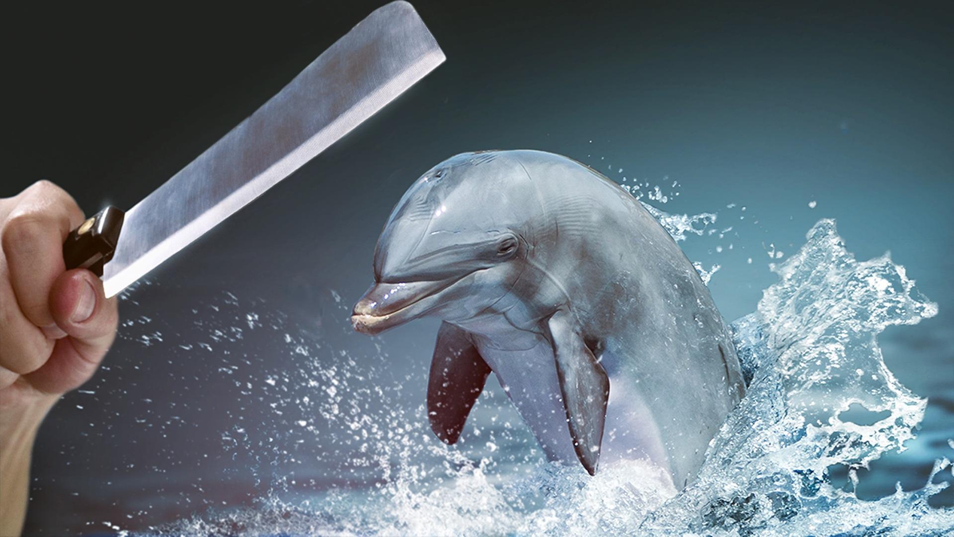 Eine Hand hält ein Fleischermesser über einen Delfin