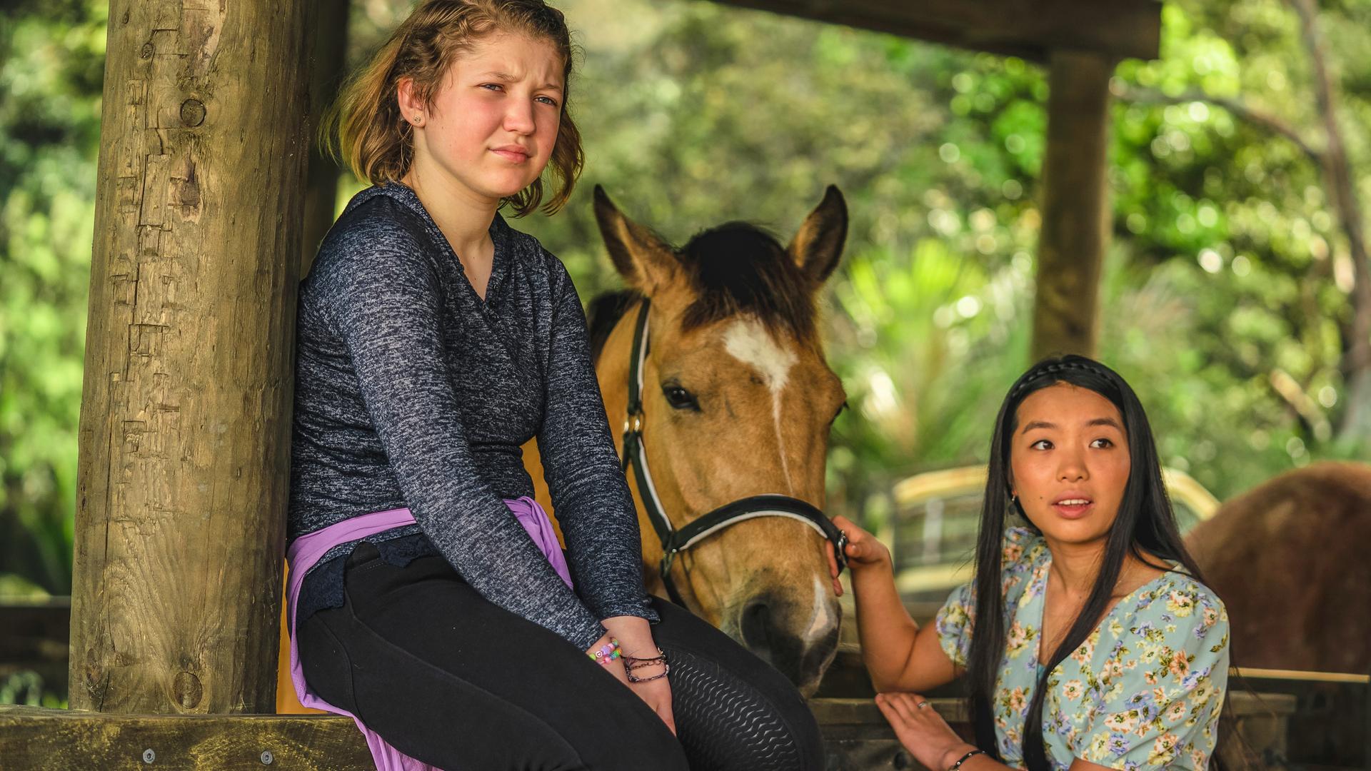 Stella sitzt auf dem Stalltor, rechts neben ihr steht Caroline und streichelt ein Pferd.