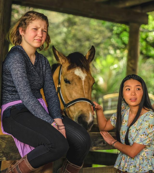 Stella sitzt auf dem Stalltor, rechts neben ihr steht Caroline und streichelt ein Pferd.