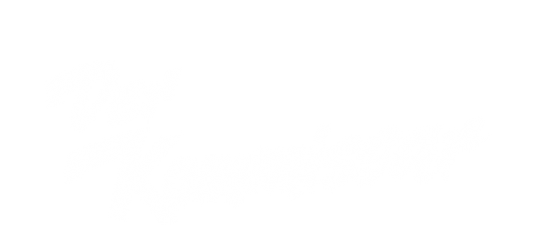 Der Kommissar