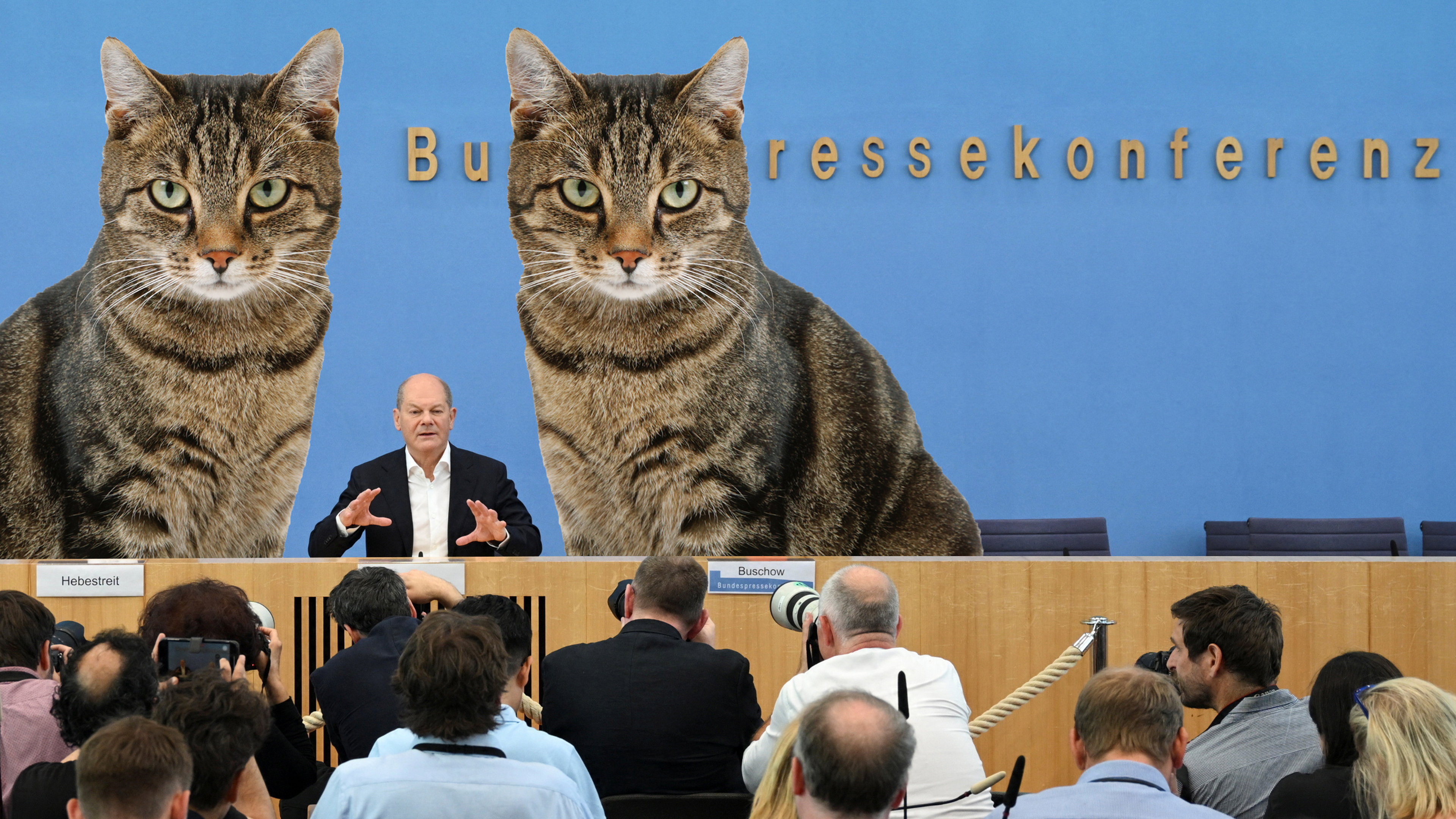 Satirischer Jahresrückblick - Pressekonferenz Scholz mit Katzen