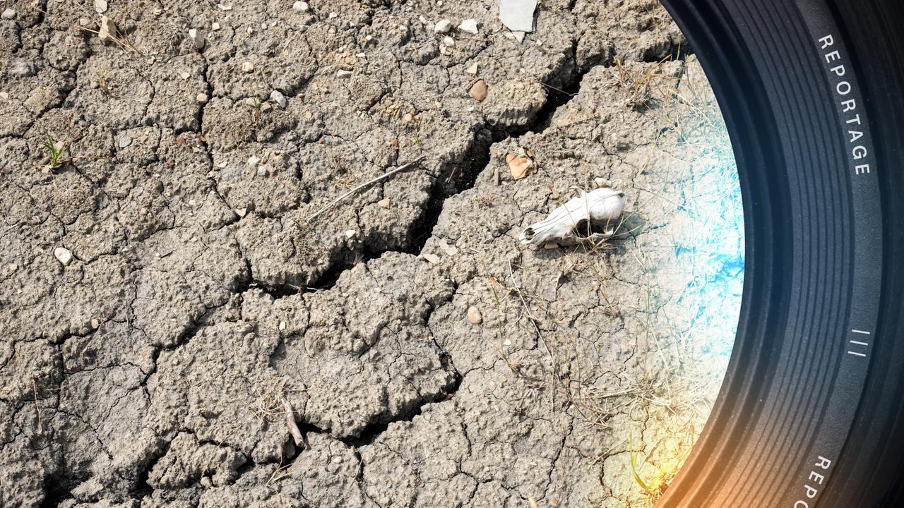 Deutschland, Trockenland - Wenn das Wasser knapp wird