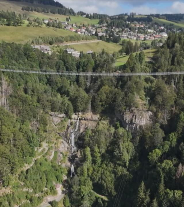 Hängebrücke im Hochschwarzwald