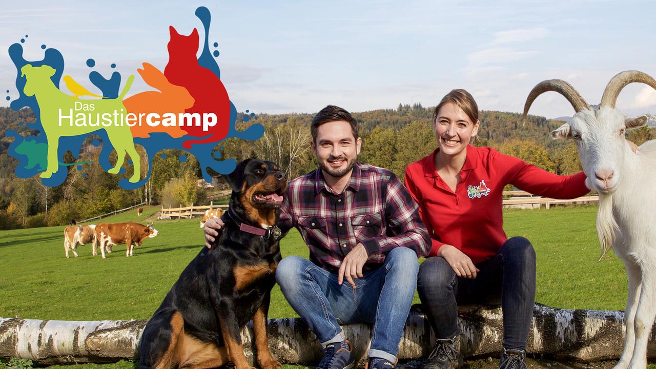 Haustiercamp
