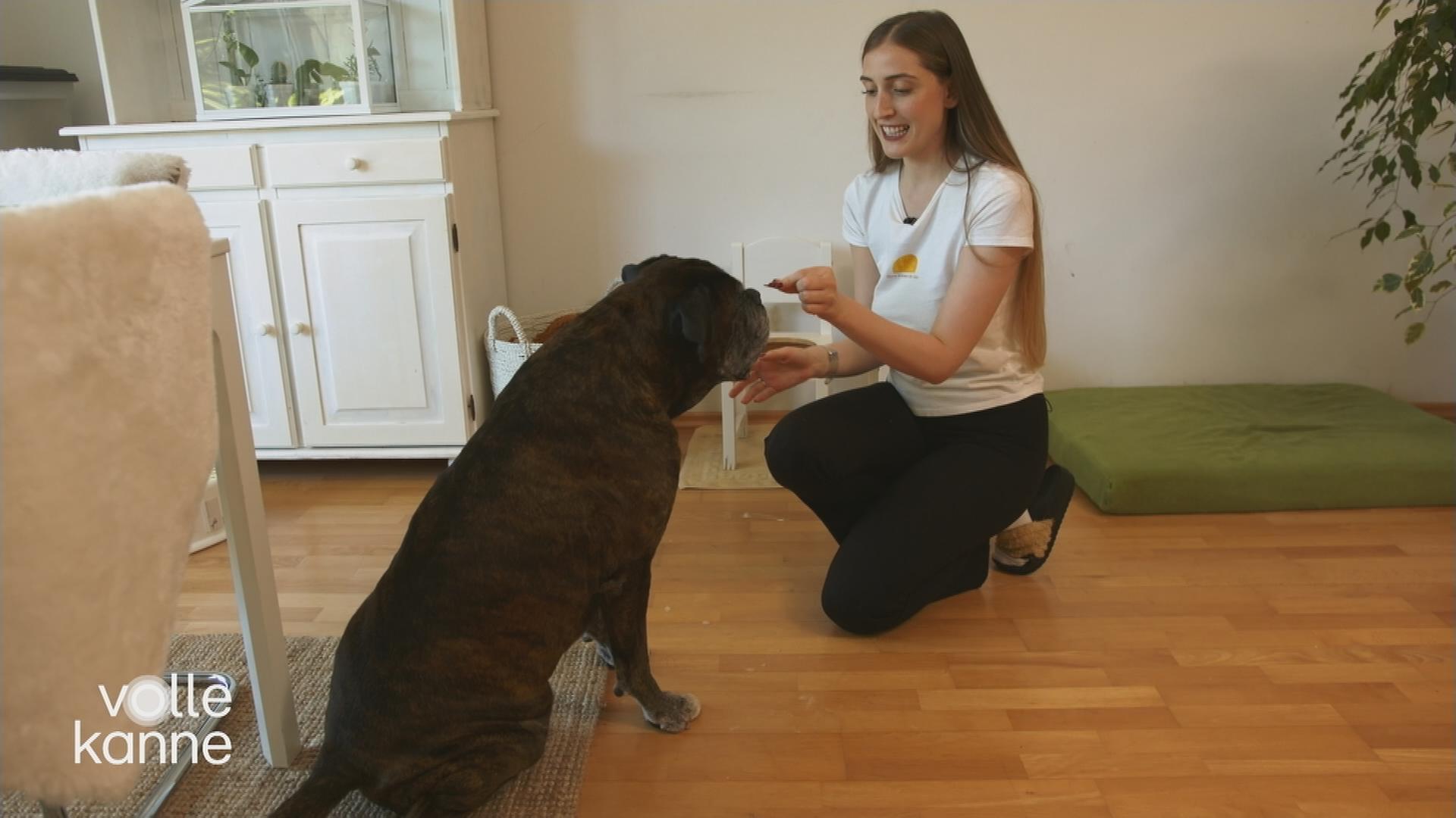 Frau gibt Hund Leckerchen