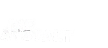 Die Anstalt