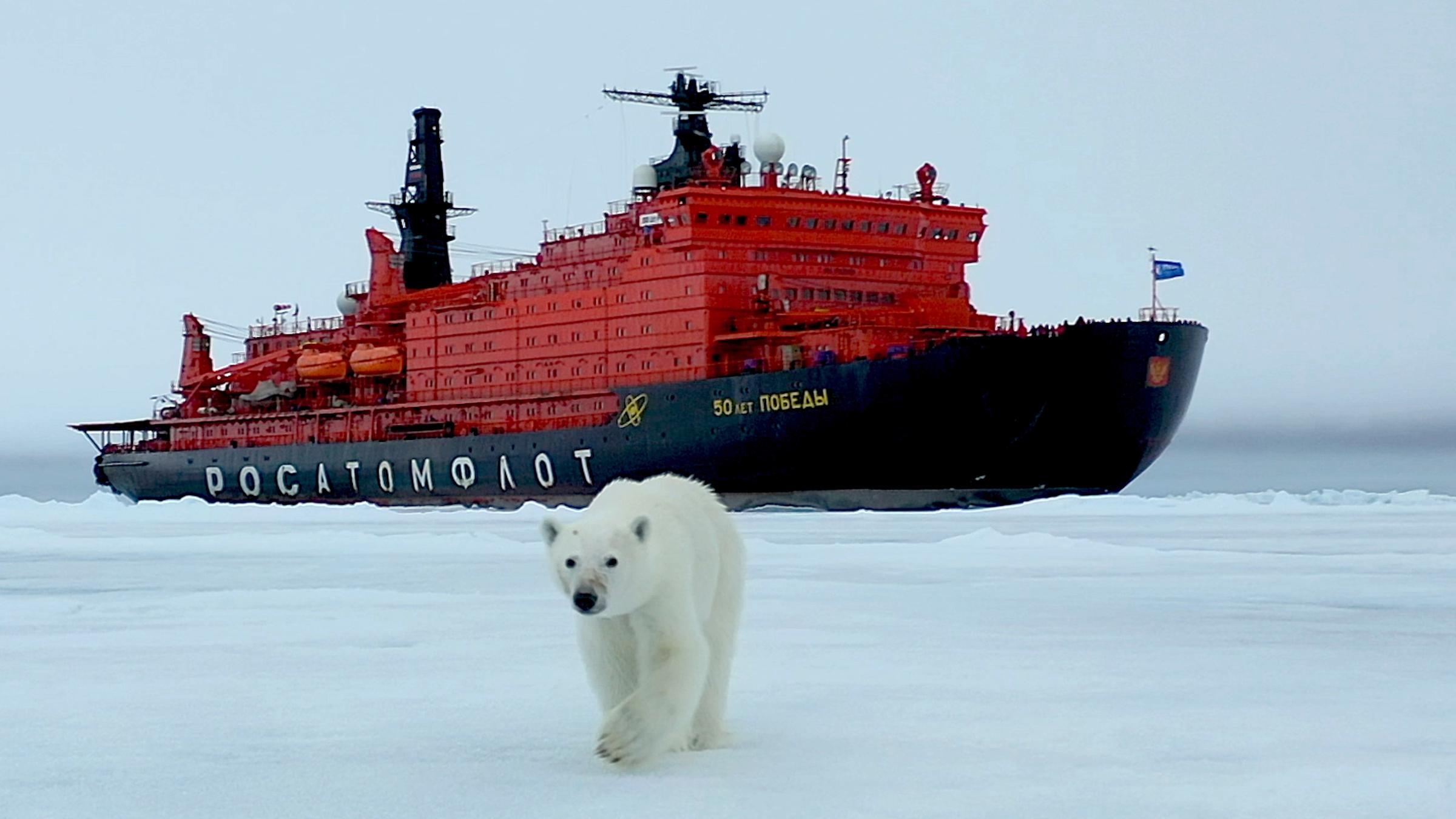 Ein Eisbär läuft über ein Eismeer, hinter im liegt ein Schiff, ein roter Eisbrecher.