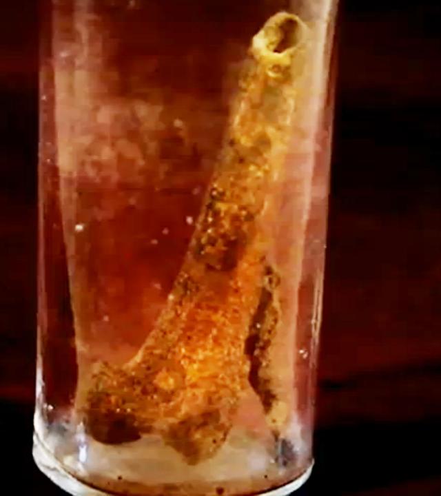 "Die Gebeine der Johanna von Orléans: Mythen-Jäger": Die Gebeine der Johanna von Orléans. Knochen in einem Glas.