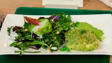 Die Gerichte vom 20. März 2019