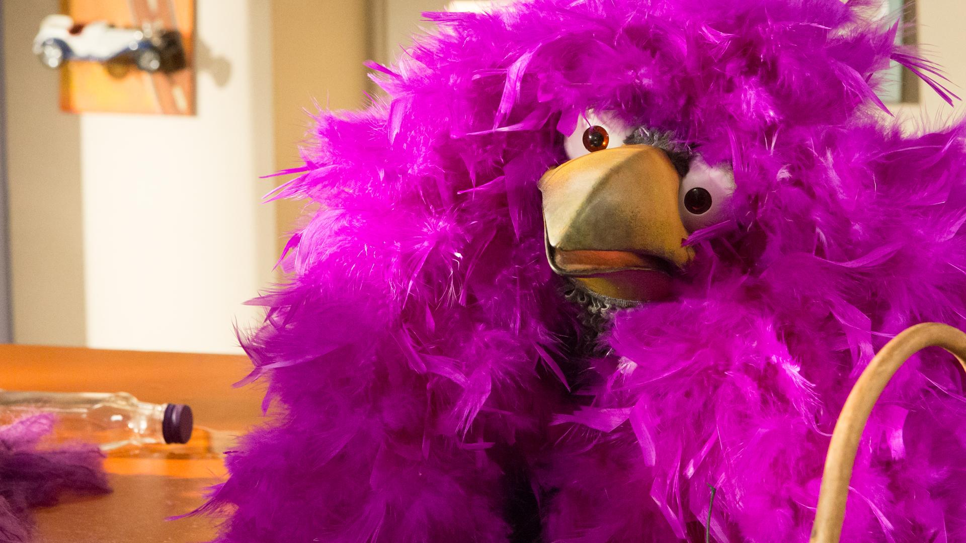 Rudi hockt überwuchert von lila Federn neben dem Tresen und schaut fragend in den Raum.