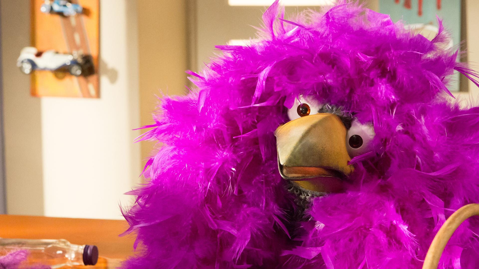 Rudi hockt überwuchert von lila Federn neben dem Tresen und schaut fragend in den Raum.