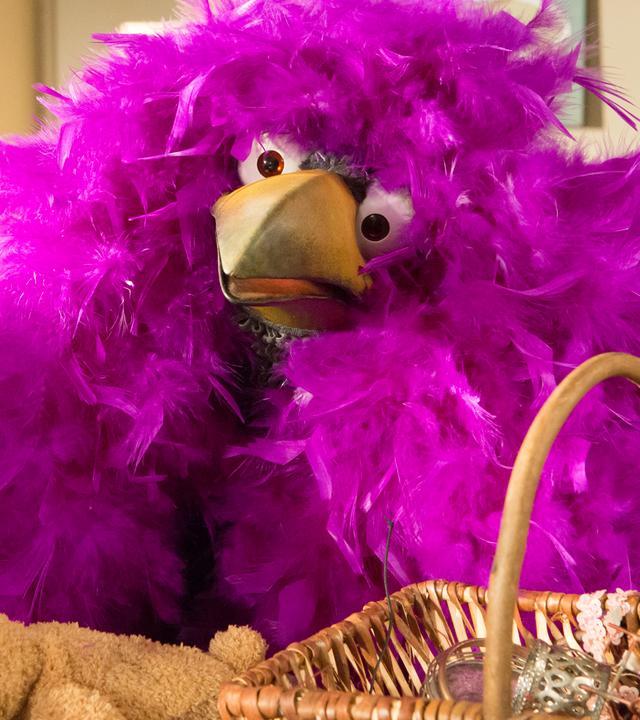 Rudi hockt überwuchert von lila Federn neben dem Tresen und schaut fragend in den Raum.