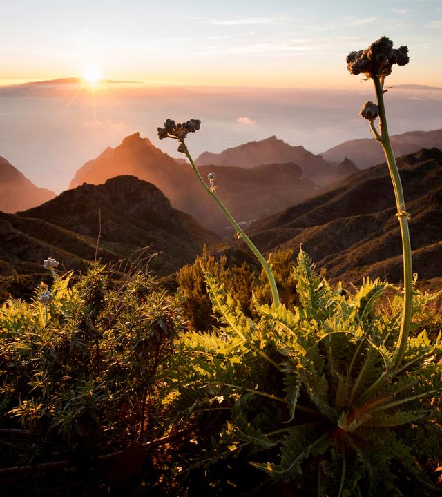 Teneriffa