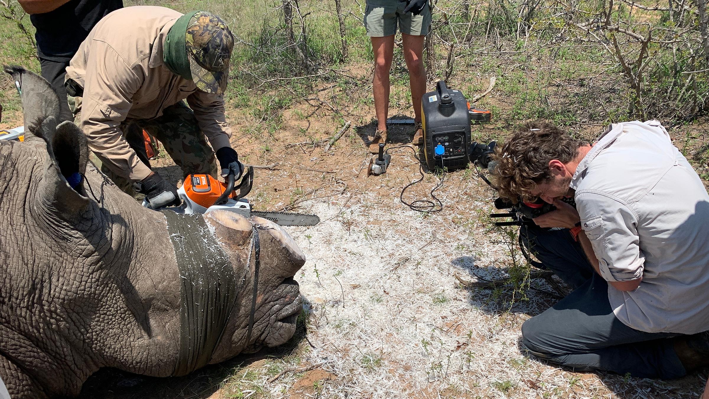 In Südafrika leben circa 80 Prozent aller Nashörner.