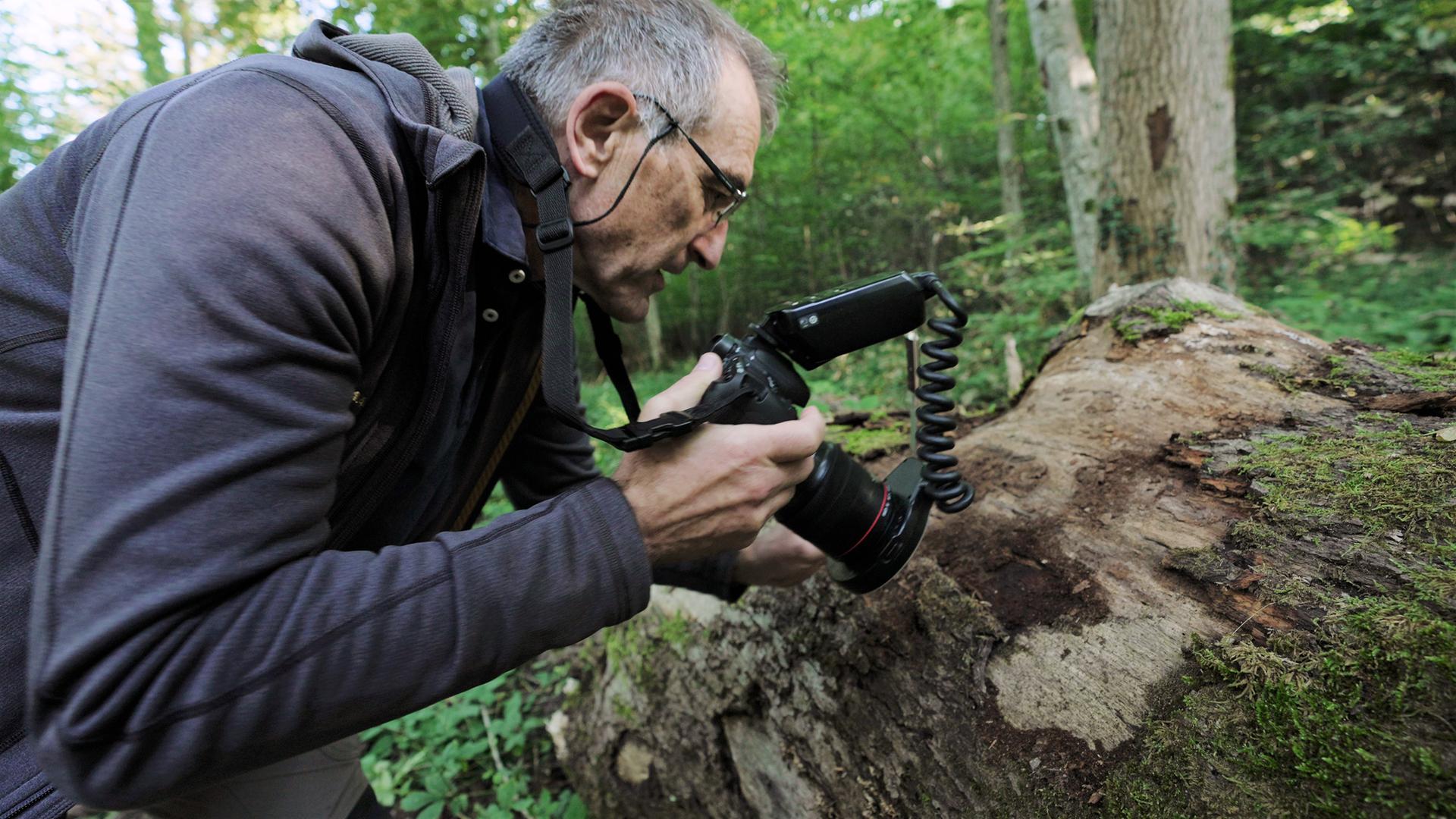 Beat Wermelinger ist befasst sich nicht nur beruflich mit Larven und Insekten. Er fotografiert sich auch leidenschaftlich gerne.