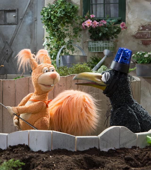 Hase Otto, Eichhörnchen Ella und Rabe Rudi sind am Möhrenbeet. Ella hat Otto mit ihrem Kescher gefangen und schaut triumphierend zu Rudi, der eine Sirene auf dem Kopf trägt.