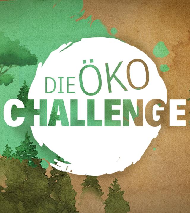 Die Öko-Challenge: Geht nachhaltig auch günstig?