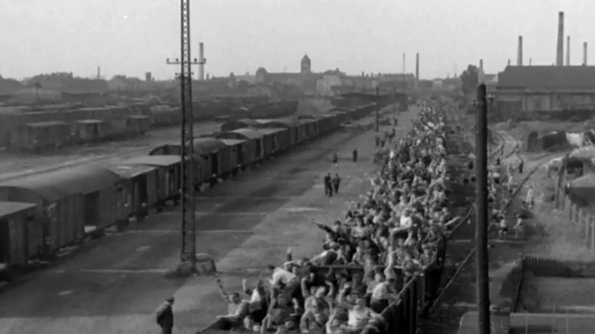 "Die Wahrheit über den Holocaust (8) Verdrängung": Die Überlebenden von Auschwitz.