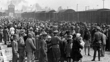 Zdfinfo - Die Wahrheit über Den Holocaust (9) Das Jahrhundertverbrechen
