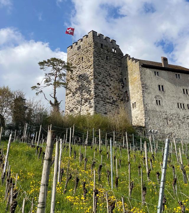 Mittelalterliche Burg auf einem Weinberg - Blick von unten auf die Burg hinauf.