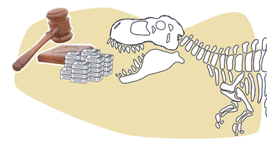 Das Problem der Dinoskelett-Versteigerungen