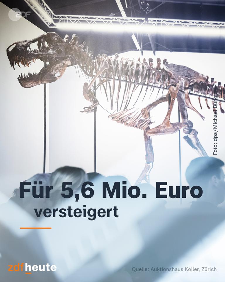 Im Hintergrund das Skelett eines Dinosauriers, darüber der Text: "Für 5,6 Mio. Euro versteigert"
