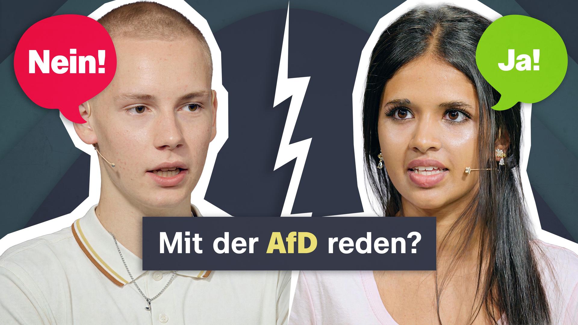 Diskussion - AfD